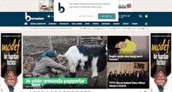 Desktop Screenshot of bursadan.com